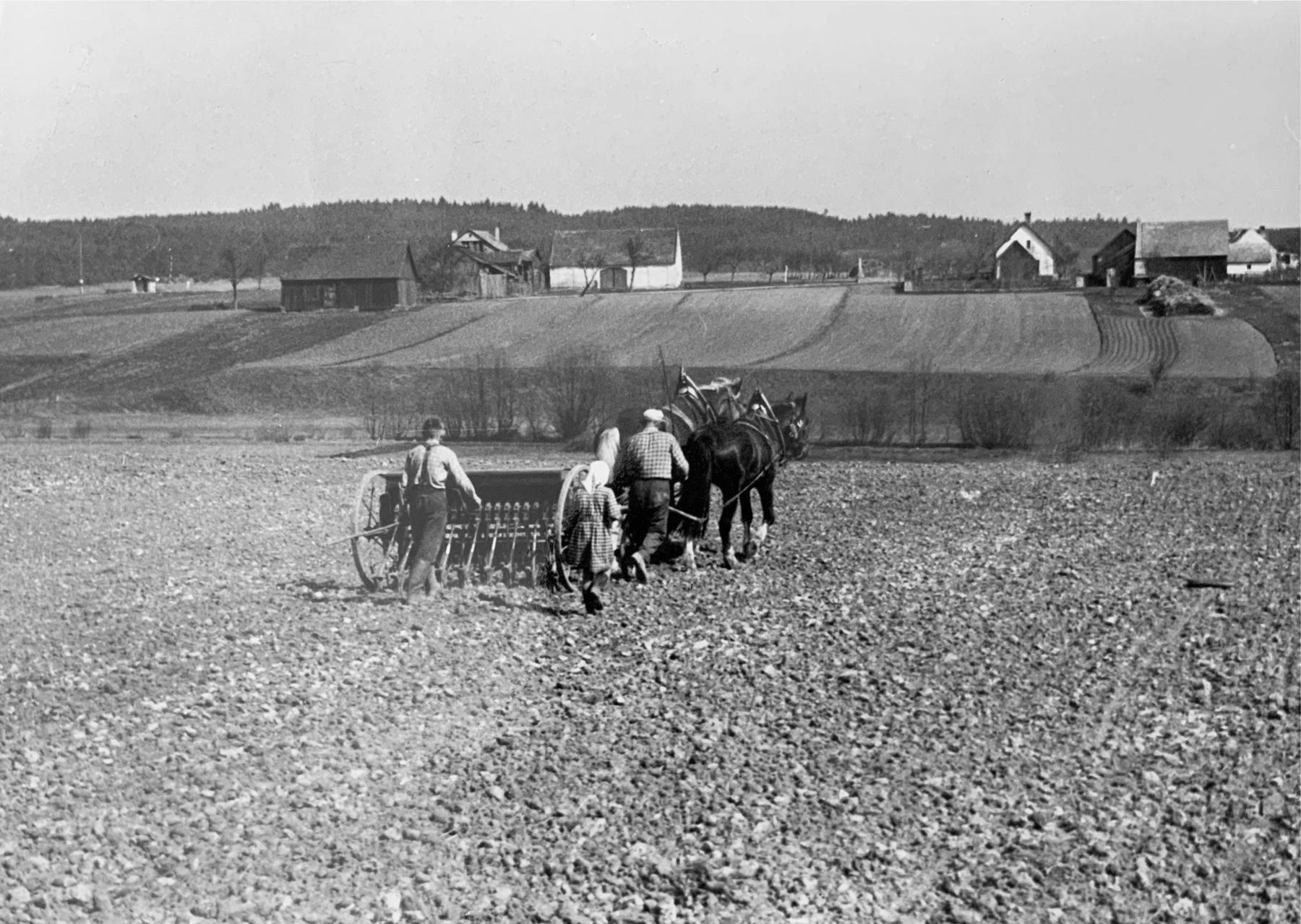 Ein Rückblick in Bildern auf 100 Jahre Landwirtschaftskammer Niederösterreich. © Archiv Ein Rückblick in Bildern auf 100 Jahre Landwirtschaftskammer Niederösterreich. © Archiv
