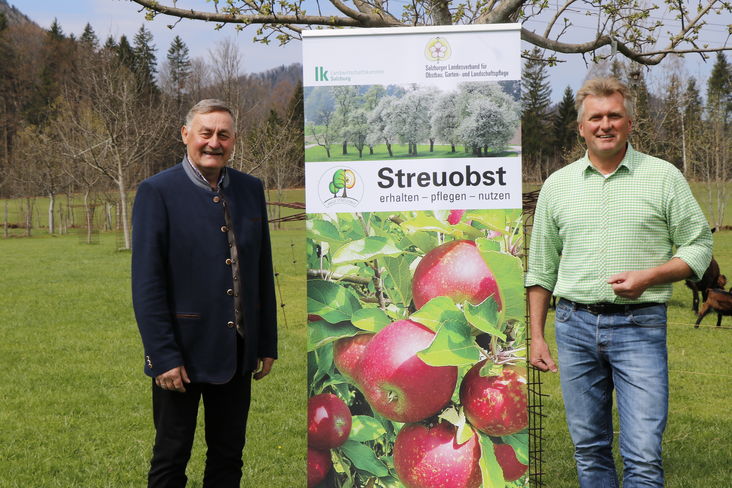 Am Fr, 29. April ist Tag der Streuobstwiese.jpg Am Fr, 29. April ist Tag der Streuobstwiese.jpg