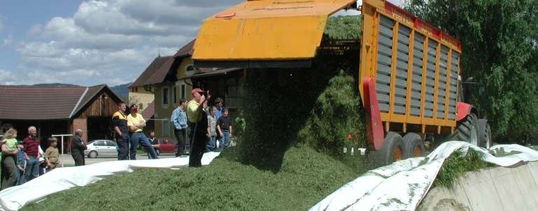 Silageaufbereitung.jpg © LK Kärnten/Wolfgang Stromberger Silageaufbereitung.jpg © LK Kärnten/Wolfgang Stromberger