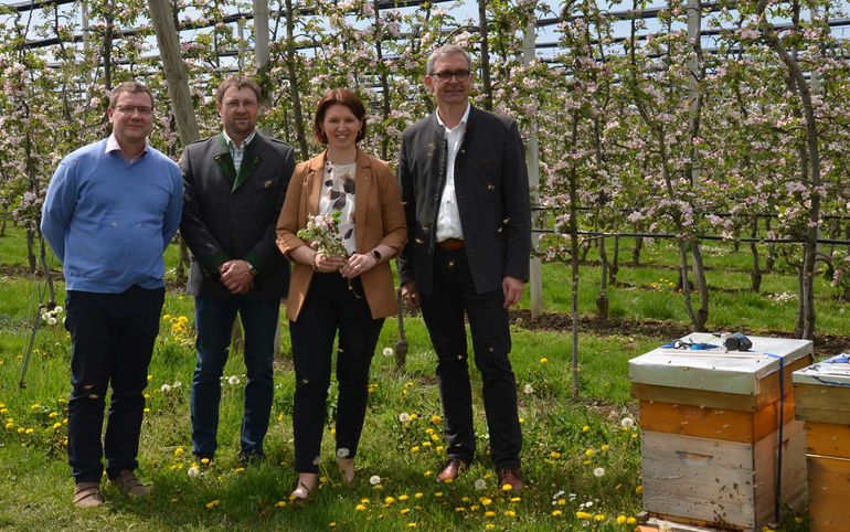 PK_Bienen unterstützen Obstqualität_LK OÖ (36).jpg © Landwirtschaftskammer OÖ PK_Bienen unterstützen Obstqualität_LK OÖ (36).jpg © Landwirtschaftskammer OÖ