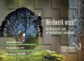 Wildökologisches Forum 2022.png