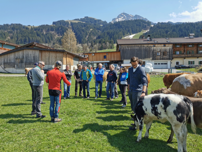 Kursteilnehmer und Kühe © Pittracher Kursteilnehmer und Kühe © Pittracher