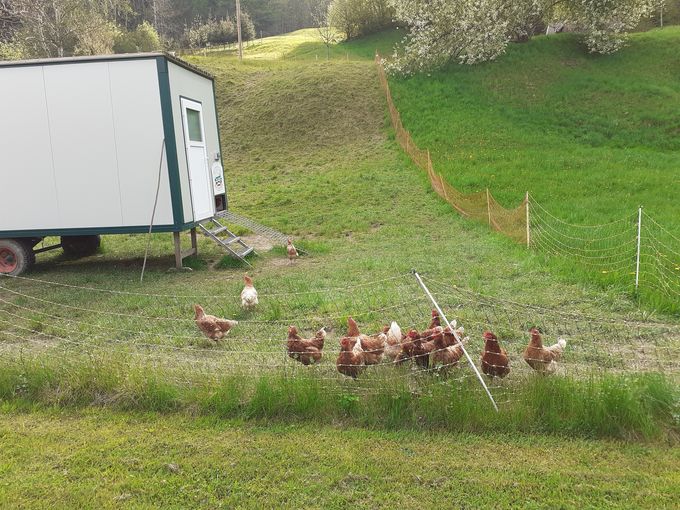 Mobilstall.jpg © Landwirtschaftskammer Oberösterreich/Doblmair