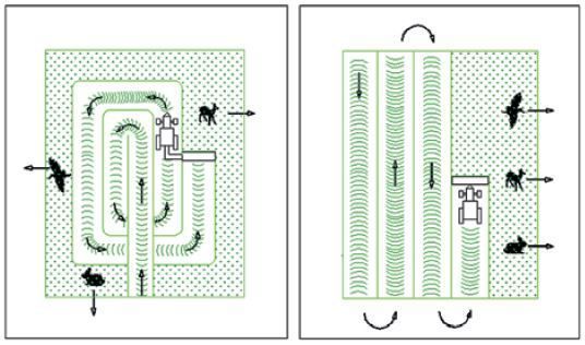Mähtechnik - Fluchtwege.jpg © nach Prochnow   Meierhöfer, 2003 Mähtechnik - Fluchtwege.jpg © nach Prochnow   Meierhöfer, 2003