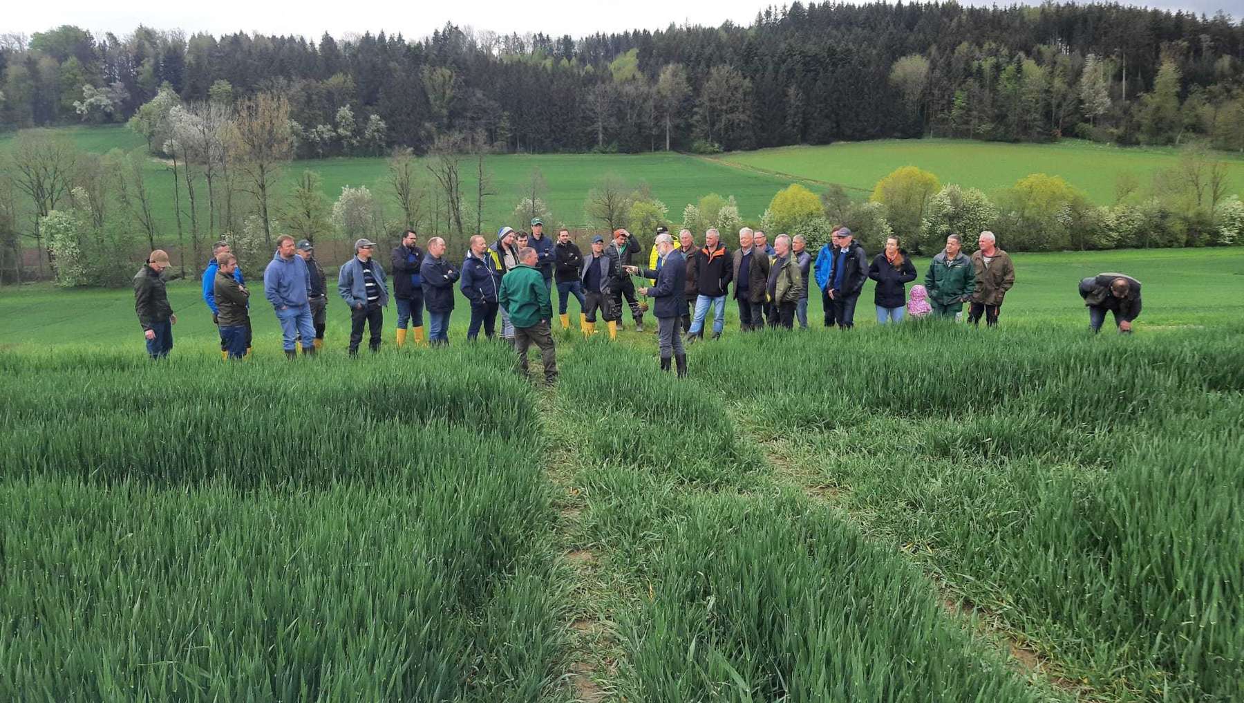 Bilder von den Feldbegehungen in Alkoven und Weißkirchen am 27. April 2022