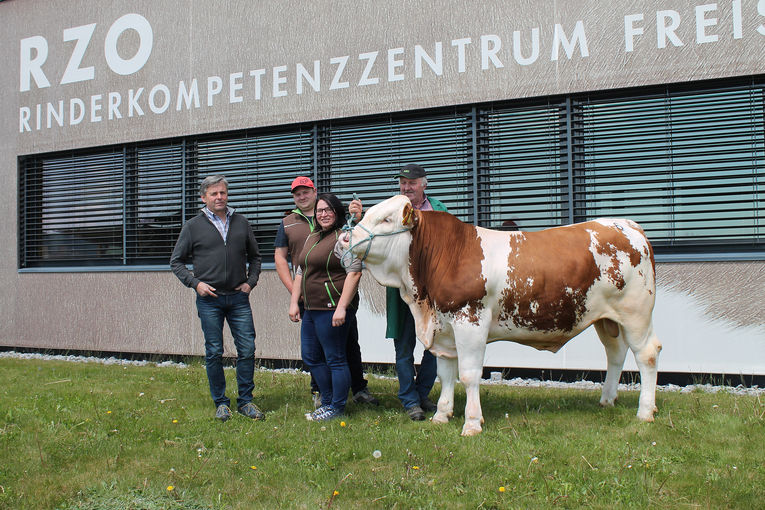 303. Zuchtrinder- und Nutzkälberversteigerung Freistadt - 04.05.2022.jpg © RZO/Wagner