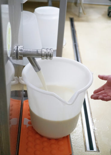 Sammelaktionen: Eigene Produkte prüfen lassen.png © Kronreif Sammelaktionen: Eigene Produkte prüfen lassen.png © Kronreif