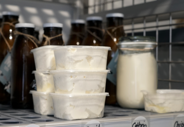 Sammelaktionen: Eigene Produkte prüfen lassen.png © Kronreif Sammelaktionen: Eigene Produkte prüfen lassen.png © Kronreif