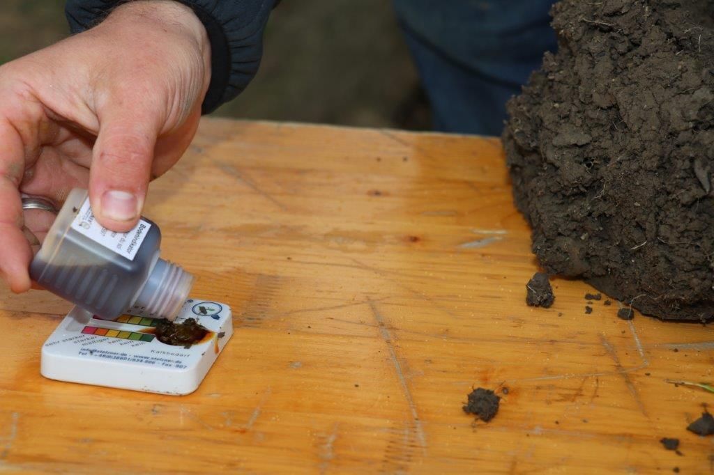 Einblicke in den Grünlandtag 2022 im Bezirk Lilienfeld © Paula Pöchlauer-Kozel/LK Niederösterreich Einblicke in den Grünlandtag 2022 im Bezirk Lilienfeld © Paula Pöchlauer-Kozel/LK Niederösterreich