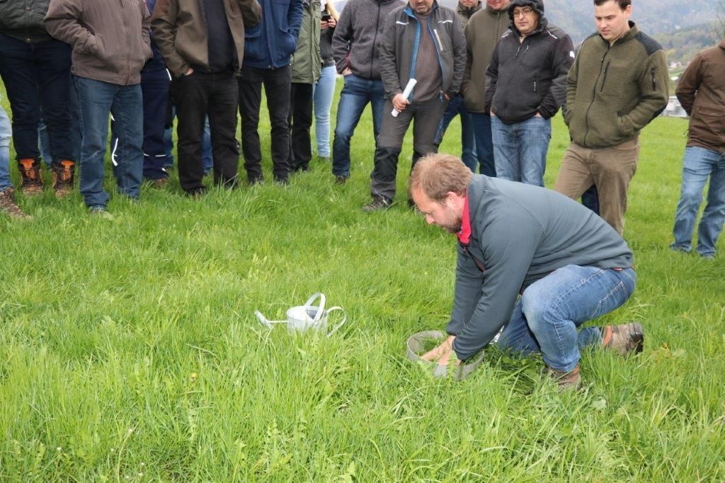 Einblicke in den Grünlandtag 2022 im Bezirk Lilienfeld © Paula Pöchlauer-Kozel/LK Niederösterreich Einblicke in den Grünlandtag 2022 im Bezirk Lilienfeld © Paula Pöchlauer-Kozel/LK Niederösterreich