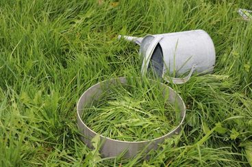 Einblicke in den Grünlandtag 2022 im Bezirk Lilienfeld © Paula Pöchlauer-Kozel/LK Niederösterreich Einblicke in den Grünlandtag 2022 im Bezirk Lilienfeld © Paula Pöchlauer-Kozel/LK Niederösterreich