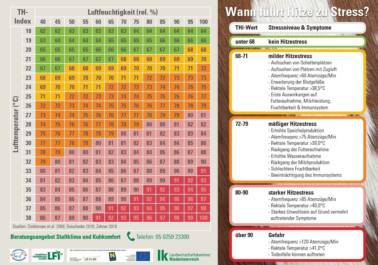 Mithilfe des Temperatur-Feuchtigkeits-Index kann die Hitzestressbelastung von Kühen abgeschätzt werden © LK Niederösterreich Mithilfe des Temperatur-Feuchtigkeits-Index kann die Hitzestressbelastung von Kühen abgeschätzt werden © LK Niederösterreich