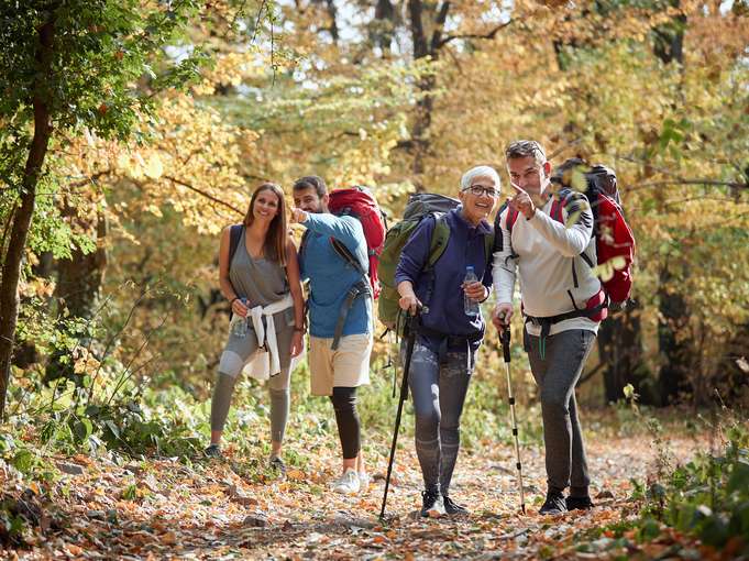 Wandern im Wald