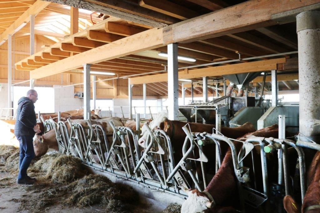 Am Tag des ersten Lockdowns, am 14. März 2020, starteten Raimund und Maria Helm mit dem Stallzubau. Im November 2020 sind die Kühe eingezogen. Hier ein Making-of. © Paula Pöchlauer-Kozel/LK Niederösterreich Am Tag des ersten Lockdowns, am 14. März 2020, starteten Raimund und Maria Helm mit dem Stallzubau. Im November 2020 sind die Kühe eingezogen. Hier ein Making-of. © Paula Pöchlauer-Kozel/LK Niederösterreich