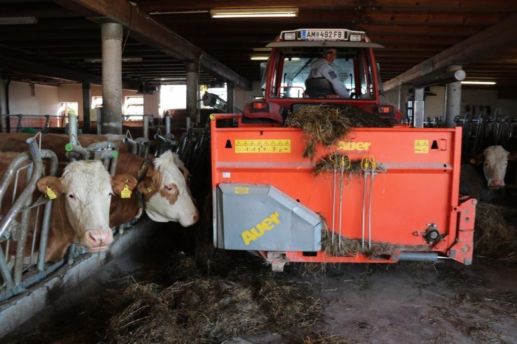 Am Tag des ersten Lockdowns, am 14. März 2020, starteten Raimund und Maria Helm mit dem Stallzubau. Im November 2020 sind die Kühe eingezogen. Hier ein Making-of. © Paula Pöchlauer-Kozel/LK Niederösterreich Am Tag des ersten Lockdowns, am 14. März 2020, starteten Raimund und Maria Helm mit dem Stallzubau. Im November 2020 sind die Kühe eingezogen. Hier ein Making-of. © Paula Pöchlauer-Kozel/LK Niederösterreich