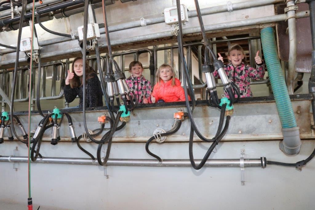 Am Tag des ersten Lockdowns, am 14. März 2020, starteten Raimund und Maria Helm mit dem Stallzubau. Im November 2020 sind die Kühe eingezogen. Hier ein Making-of. © Paula Pöchlauer-Kozel/LK Niederösterreich Am Tag des ersten Lockdowns, am 14. März 2020, starteten Raimund und Maria Helm mit dem Stallzubau. Im November 2020 sind die Kühe eingezogen. Hier ein Making-of. © Paula Pöchlauer-Kozel/LK Niederösterreich