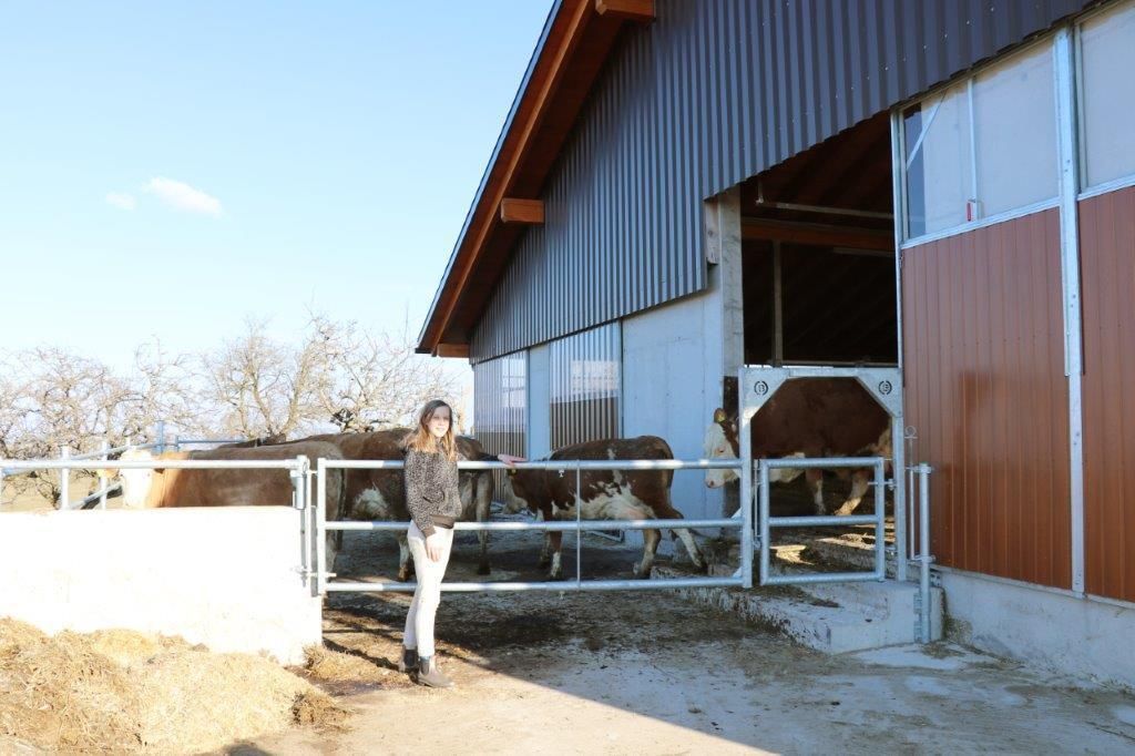 Am Tag des ersten Lockdowns, am 14. März 2020, starteten Raimund und Maria Helm mit dem Stallzubau. Im November 2020 sind die Kühe eingezogen. Hier ein Making-of.