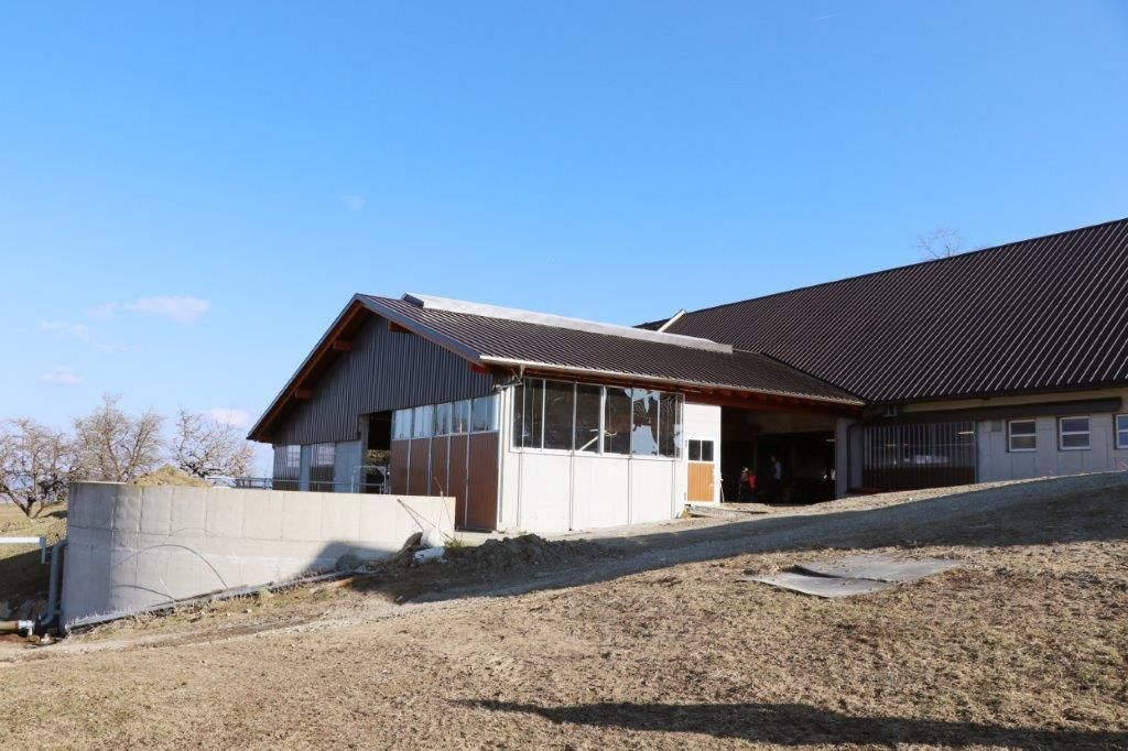 Am Tag des ersten Lockdowns, am 14. März 2020, starteten Raimund und Maria Helm mit dem Stallzubau. Im November 2020 sind die Kühe eingezogen. Hier ein Making-of. © Paula Pöchlauer-Kozel/LK Niederösterreich Am Tag des ersten Lockdowns, am 14. März 2020, starteten Raimund und Maria Helm mit dem Stallzubau. Im November 2020 sind die Kühe eingezogen. Hier ein Making-of. © Paula Pöchlauer-Kozel/LK Niederösterreich