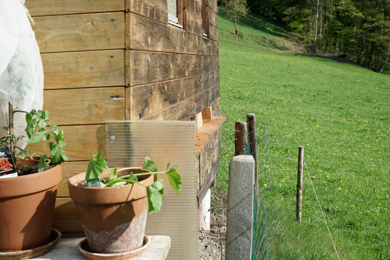 Ein Auge für das Gescheckte Bergschaf – Kronreif/Laireiter in Pfarrwerfen.jpg © Kronreif