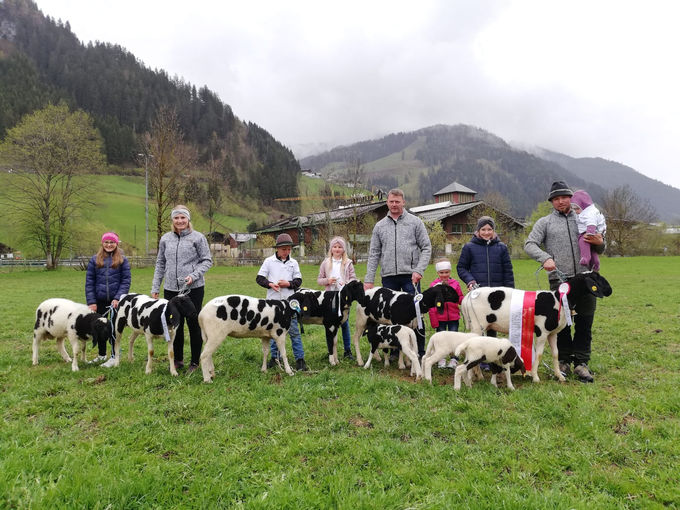 Ein Auge für das Gescheckte Bergschaf – Kronreif/Laireiter in Pfarrwerfen.jpg © Privat