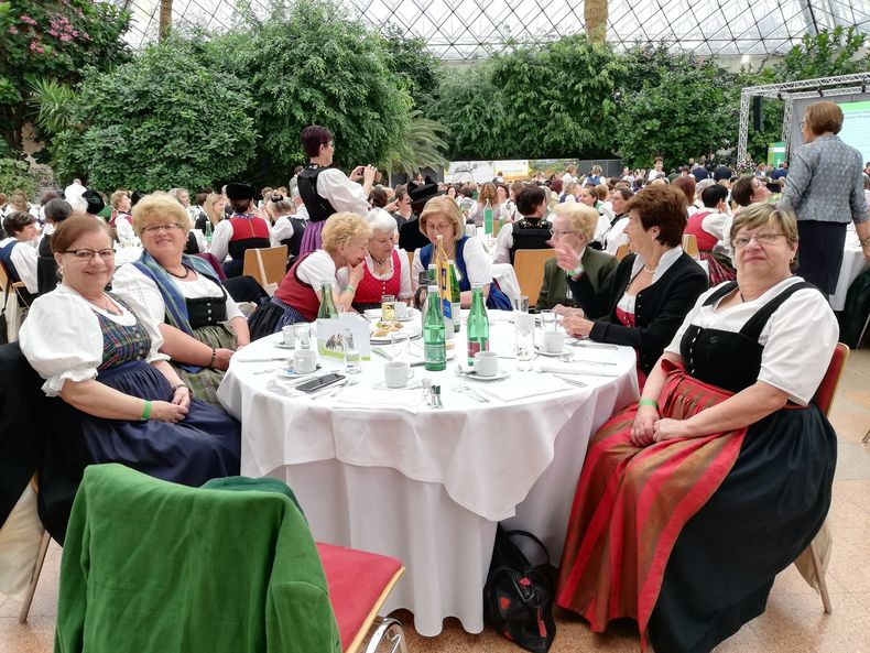 IMG 20220426 095928 resized 20220427 050648027.jpg IMG 20220426 095928 resized 20220427 050648027.jpg