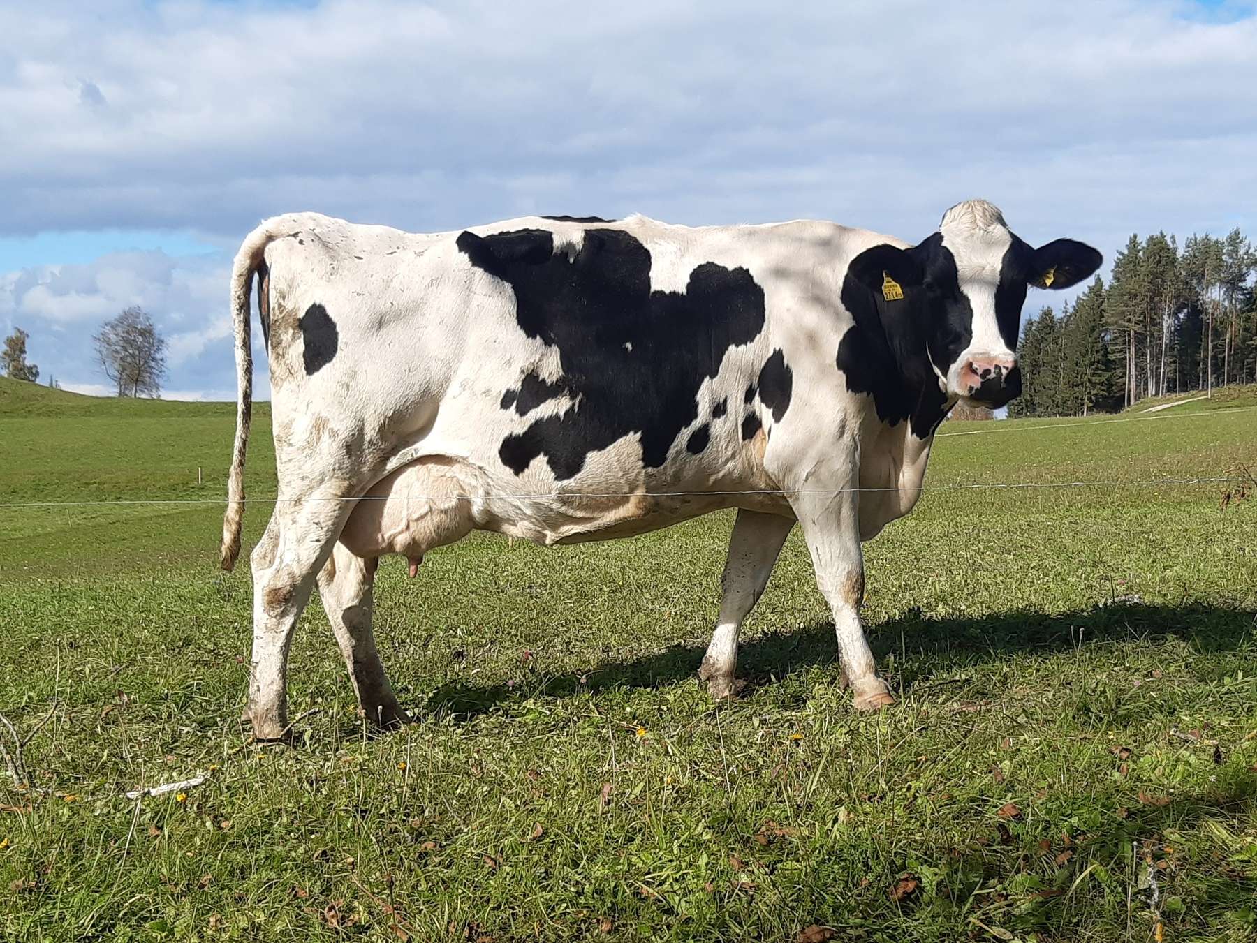 Foto 02 (c) Schuster.jpg © LK Kärnten/Nadja Schuster Foto 02 (c) Schuster.jpg © LK Kärnten/Nadja Schuster