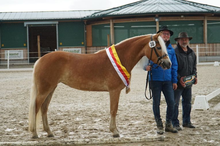 Landessiegerin Haflinger-min.jpg © LK Kärnten/Stefanie Wuzella