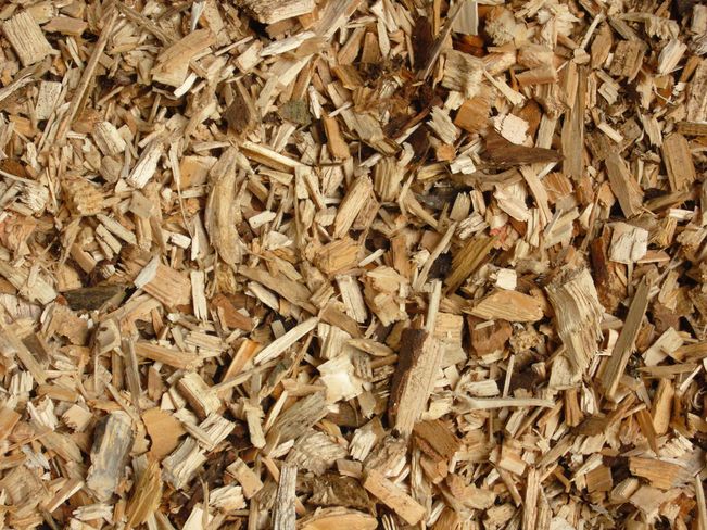 Je nach Sortiment und Verrechnungsmethode sind unterschiedliche Einheiten am Holzmarkt gebräuchlich. © Landwirtschaftskammer OÖ Je nach Sortiment und Verrechnungsmethode sind unterschiedliche Einheiten am Holzmarkt gebräuchlich. © Landwirtschaftskammer OÖ
