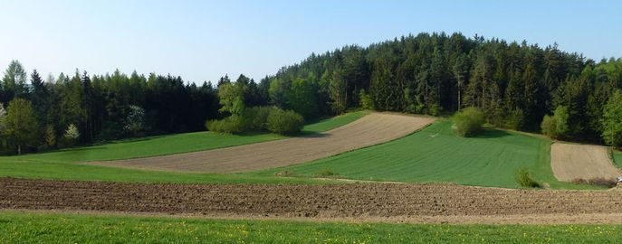 Header Förderungen 2023-2027 Abwicklung © Karl Thumfart / LK Oberösterreich