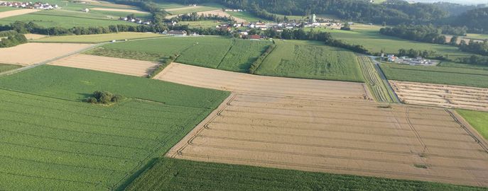 Header Förderungen 2023-2027 Konditionalität © Karl Thumfart / LK Oberösterreich