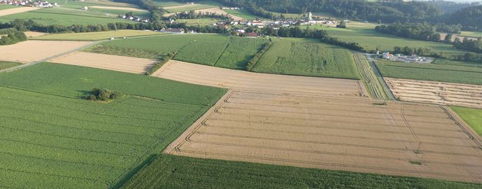 © Karl Thumfart / LK Oberösterreich