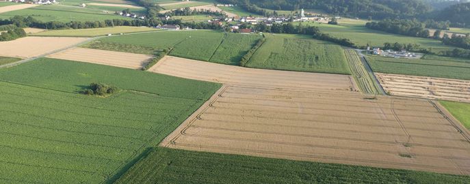 Header Förderungen 2023-2027 Konditionalität © Karl Thumfart / LK Oberösterreich Header Förderungen 2023-2027 Konditionalität © Karl Thumfart / LK Oberösterreich