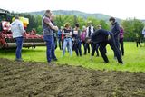 Mehr als nur ein schlamperter Streifen.jpg © Mösenbichler Mehr als nur ein schlamperter Streifen.jpg © Mösenbichler