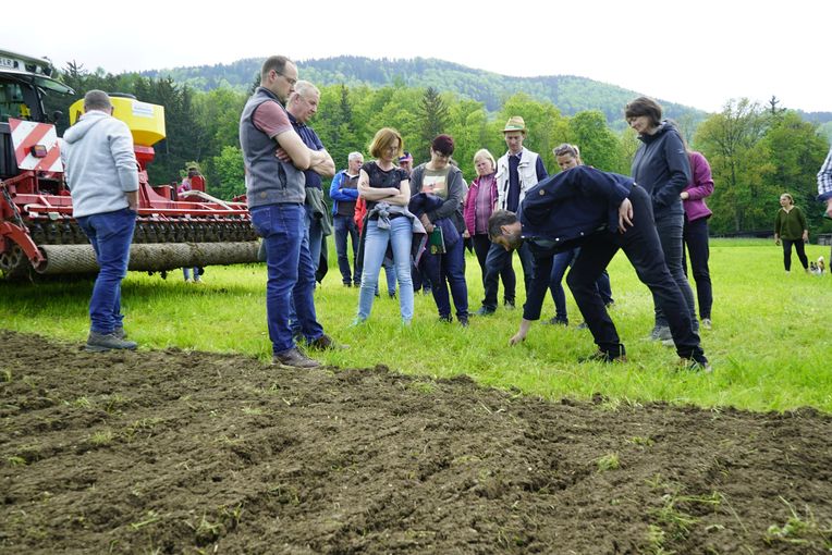 Mehr als nur ein schlamperter Streifen.jpg © Mösenbichler