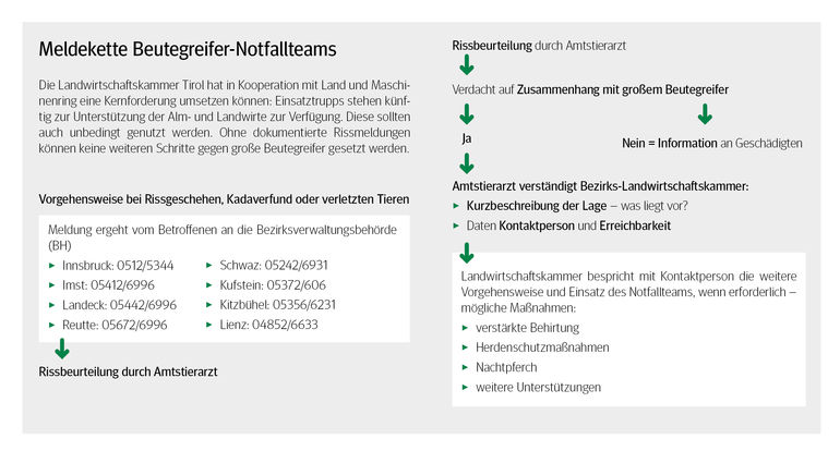 Meldekette bei Rissen © LK Tirol Meldekette bei Rissen © LK Tirol