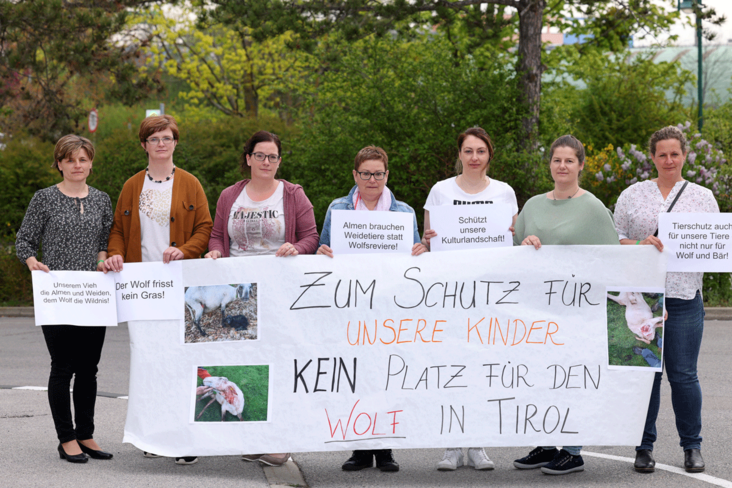 LKÖ-Ludwig-Schedl.png LKÖ-Ludwig-Schedl.png