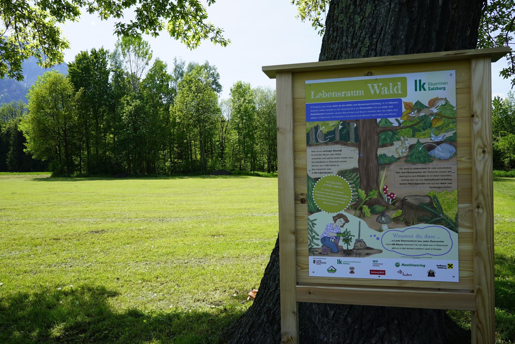 Schautafel Wald.jpg © LK Salzburg, Mösenbichler Schautafel Wald.jpg © LK Salzburg, Mösenbichler