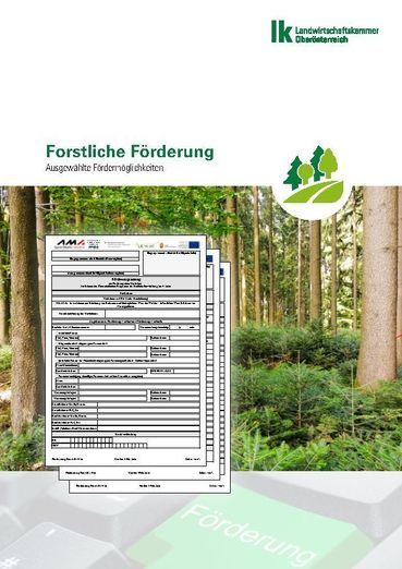 Titelblatt Forstliche Förderung.jpg © Landwirtschaftskammer OÖ Titelblatt Forstliche Förderung.jpg © Landwirtschaftskammer OÖ