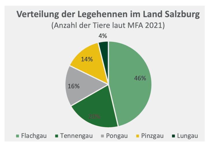 Klasse statt Masse heißt‘s bei Salzburgs Geflügelhaltern.png