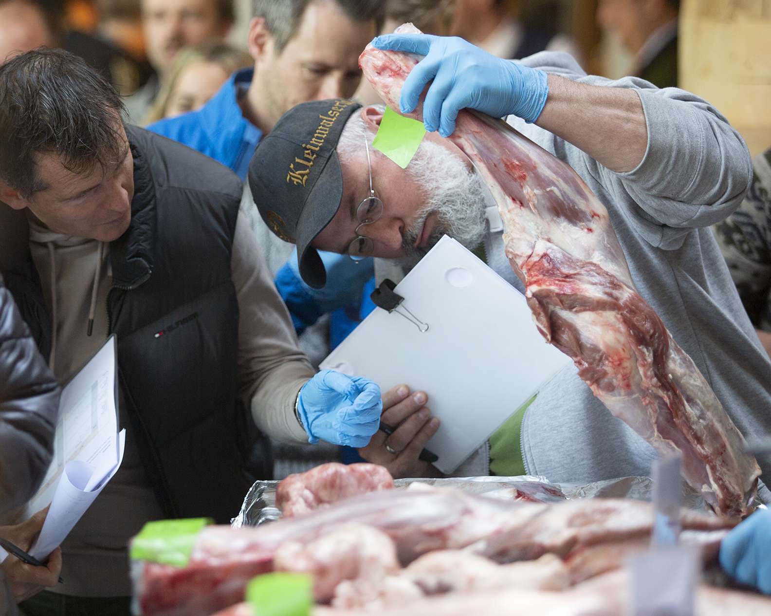 Grauvieh.jpg © Koch.Campus Grauvieh.jpg © Koch.Campus