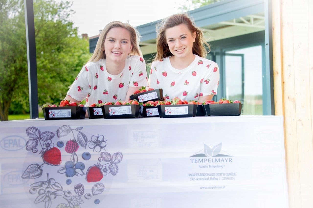 Erdbeerhof Tempelmayr in Gerersdorf startet in die Erdbeersaison © Eva Lechner/LK Niederösterreich Erdbeerhof Tempelmayr in Gerersdorf startet in die Erdbeersaison © Eva Lechner/LK Niederösterreich