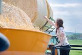 Erdbeerhof Tempelmayr in Gerersdorf startet in die Erdbeersaison © Eva Lechner/LK Niederösterreich Erdbeerhof Tempelmayr in Gerersdorf startet in die Erdbeersaison © Eva Lechner/LK Niederösterreich