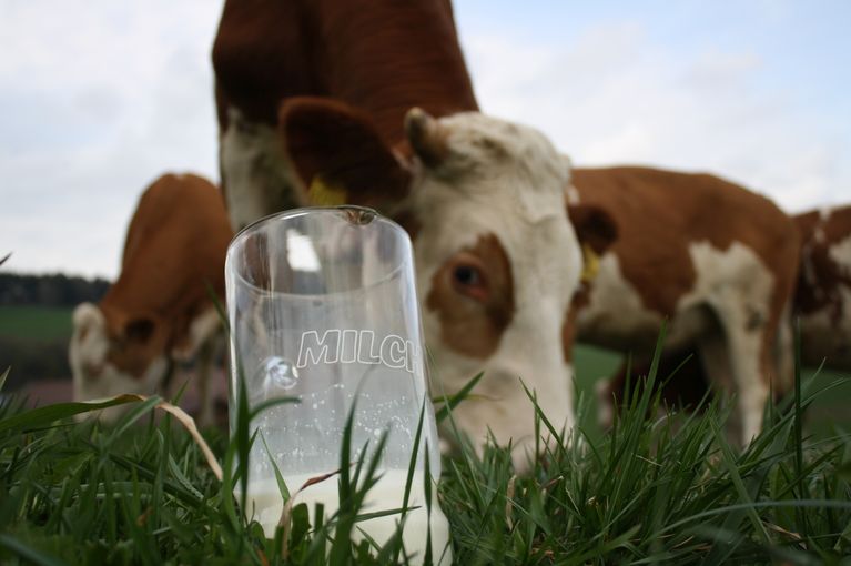 Milchglas_Gras_Kühe2_LK OÖ.jpg © Landwirtschaftskammer Oberösterreich Milchglas_Gras_Kühe2_LK OÖ.jpg © Landwirtschaftskammer Oberösterreich