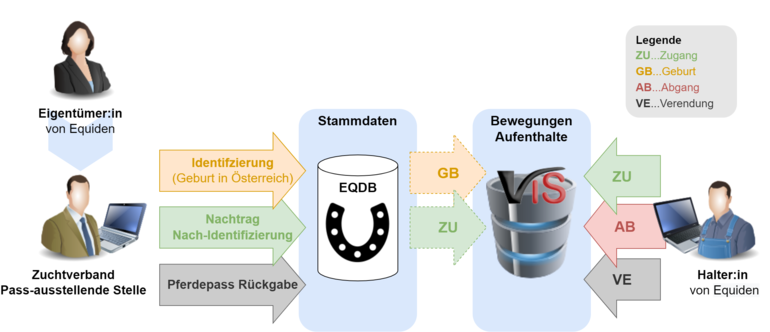 Ablauf der Equiden-Identifizierung © Bundesanstalt Statistik Österreich; Direktion Raumwirtschaft; Land- und Forstwirtschaft, VIS Ablauf der Equiden-Identifizierung © Bundesanstalt Statistik Österreich; Direktion Raumwirtschaft; Land- und Forstwirtschaft, VIS
