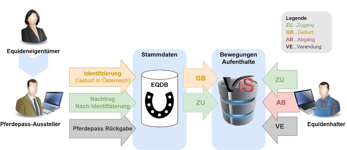 Bewegungsdatenbank für Pferde