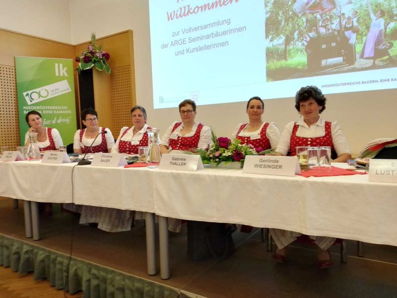 IMG-20220525-WA0058.jpg IMG-20220525-WA0058.jpg