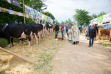 Rinderschau Tiersegnung-1217 (c)BBK Melk/Derfler.jpg