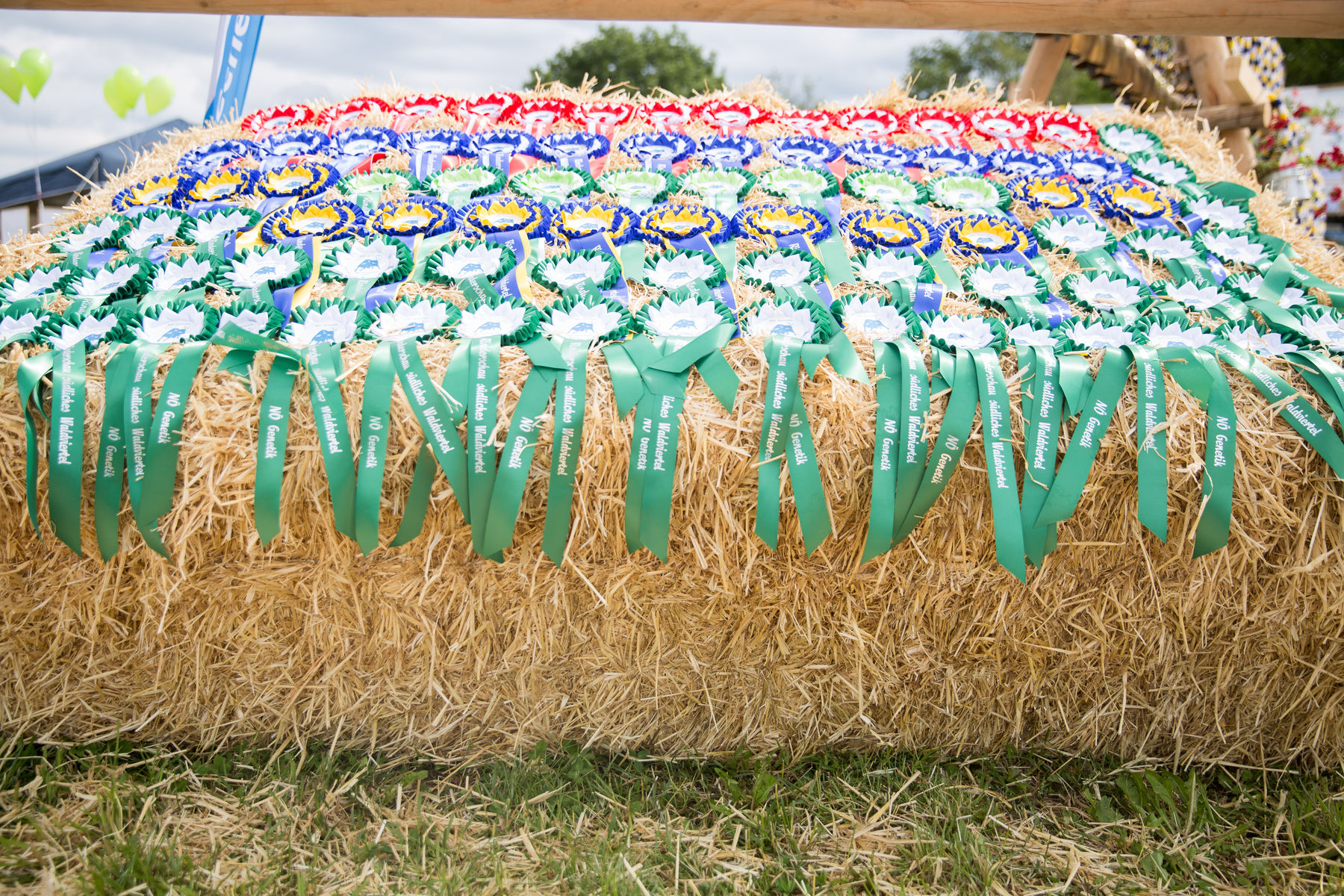 Rinderschau-1242_(c)BBK_Melk/Derfler.jpg © BBK Melk/Derfler Rinderschau-1242_(c)BBK_Melk/Derfler.jpg © BBK Melk/Derfler