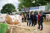 Rinderschau-1261_(c)_BBK_Melk/Derfler.jpg © BBK Melk/Derfler Rinderschau-1261_(c)_BBK_Melk/Derfler.jpg © BBK Melk/Derfler