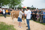 Rinderschau-1720_(c)_BBK_Melk/Derfler.jpg © BBK Melk/Derfler Rinderschau-1720_(c)_BBK_Melk/Derfler.jpg © BBK Melk/Derfler